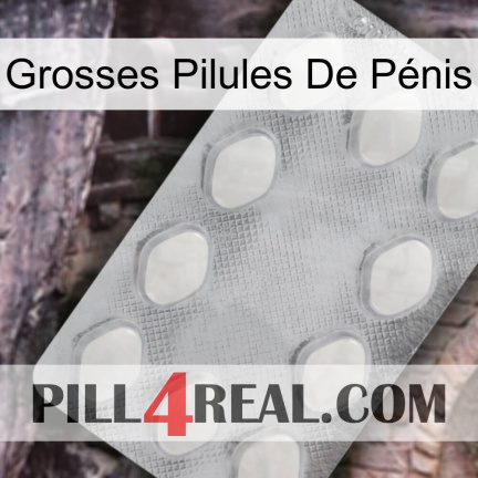 Grosses Pilules De Pénis 16